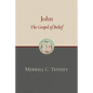 John: The Gospel of Belief: An Analytic Study of the Text - Paperback