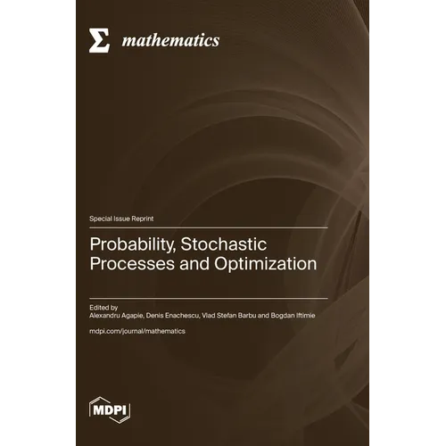 Probability, Stochastic Processes and Optimization - Hardcover
