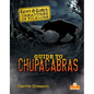 Guide to Chupacabras - Paperback
