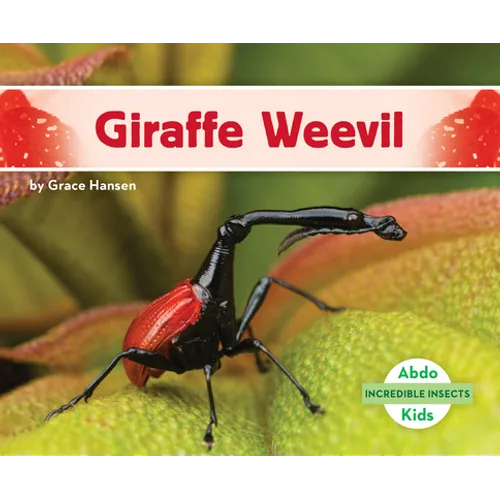 Giraffe Weevil - Library Binding