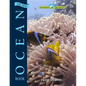 The New Ocean Book - Hardcover