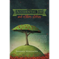 The Accidental Jibe and Other Stories - Paperback
