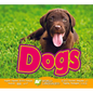 Dogs - Library Binding