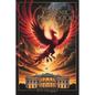 The Phoenix Protocol - Paperback