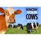 Know Your Cows - Paperback