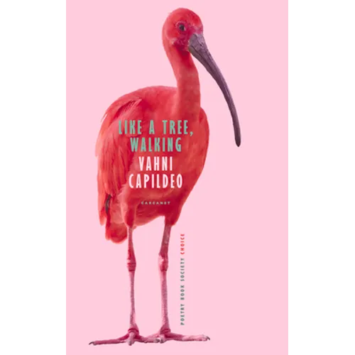 Like a Tree, Walking - Paperback