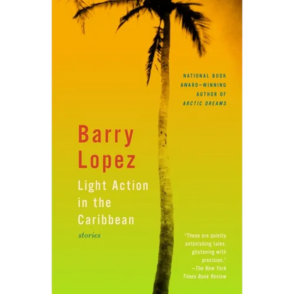 Light Action in the Caribbean: Stories - Paperback