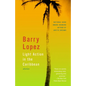 Light Action in the Caribbean: Stories - Paperback