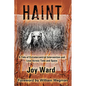 Haint: A Tale of Extraterrestrial Intervention and Love Across Time and Space - Paperback