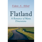 Flatland: A Romance of Many Dimensions (Illustrated Edition) - Paperback