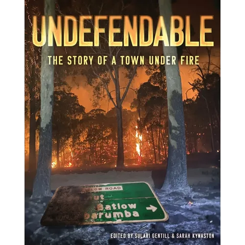Undefendable: The Story of a Town Under Fire - Paperback