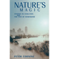 Nature's Magic: Synergy in Evolution and the Fate of Humankind - Paperback