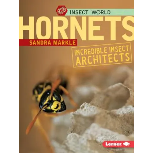 Hornets: Incredible Insect Architects - Paperback