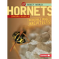 Hornets: Incredible Insect Architects - Paperback
