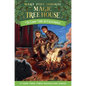 Camp Time in California - Paperback