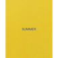Summer: An Exhibition of Contemporary British Painting - Paperback