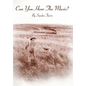 Can You Hear The Music? - Hardcover
