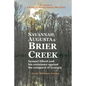 Savannah, Augusta & Brier Creek: Samuel Elbert and his resistance against the conquest of Georgia - Paperback