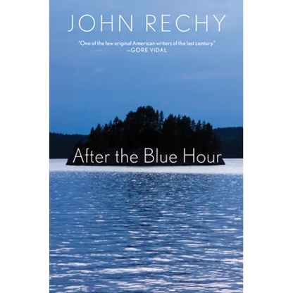 After the Blue Hour - Paperback