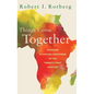 Things Come Together: Africans Achieving Greatness in the Twenty-First Century - Hardcover