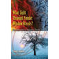 What Light Through Yonder Window Breaks?: More Experiements in Atmospheric Physics - Hardcover
