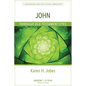 John Through Old Testament Eyes: A Background and Application Commentary - Paperback