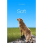 Soft - Paperback