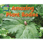 Amazing Plant Bodies: Tiny to Gigantic - Paperback