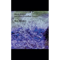 Black Ribbon and Other Perturbed Textiles - Paperback