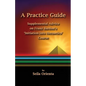 A Practice Guide: Supplemental Comments on Franz Bardon's Initiation into Hermetics Course - Paperback