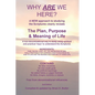 Why Are We Here?: A new approach to studying the Bible clearly reveals the purpose of life. - Paperback
