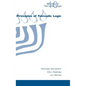 Principles of Talmudic Logic - Paperback