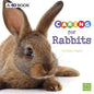 Caring for Rabbits: A 4D Book - Paperback