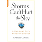 The Storms Can't Hurt the Sky: The Buddhist Path Through Divorce - Paperback