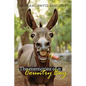 The Memories of a Country Boy - Paperback