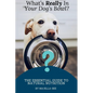 What's Really in Your Dog's Bowl?: The Essential Guide to Natural Nutrition - Paperback