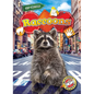 Raccoons - Library Binding
