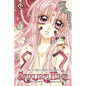 Sakura Hime: The Legend of Princess Sakura, Vol. 10 - Paperback