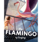 The Flamingo: A Graphic Novel Chapter Book - Hardcover