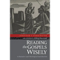 Reading the Gospels Wisely: A Narrative and Theological Introduction - Paperback