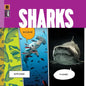 Sharks - Paperback