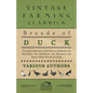 Breeds of Duck - A Large Collection of Articles on Mallards, the Mandarin, the Aylesbury, the Muscovy and Many Other Breeds of Duck - Paperback