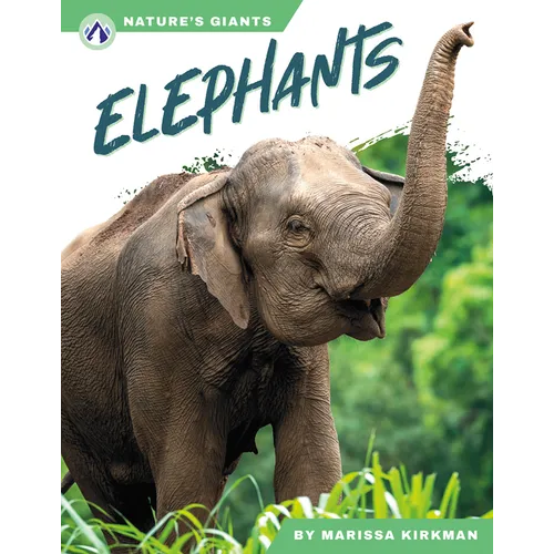 Elephants - Paperback