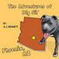 The Adventures of Big Sil Phoenix, AZ: Children's Book - Paperback