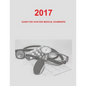 Guide for Aviation Medical Examiners: 2017 - Paperback