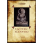 Esoteric Buddhism - 1885 Annotated Edition (Aziloth Books) - Paperback