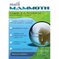 Math Mammoth Grade 2-A Worktext, International Version - Paperback