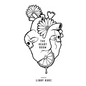 The Heart Room - Paperback