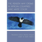 The Reason Why Crows in African Countries Have White Color - Paperback