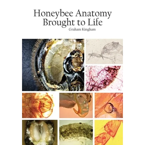 Honeybee Anatomy Brought to Life - Paperback